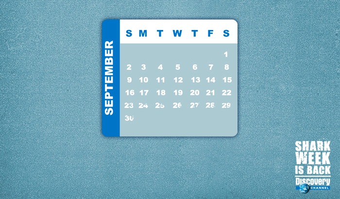 design_numbers_calendar