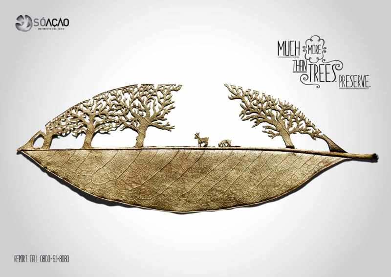 deforestation_awareness_2