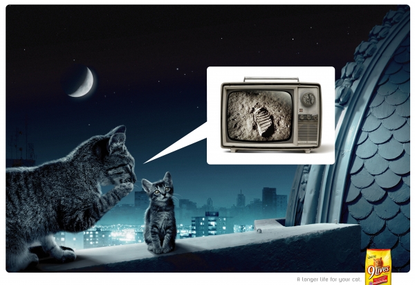 9lives_brand_story