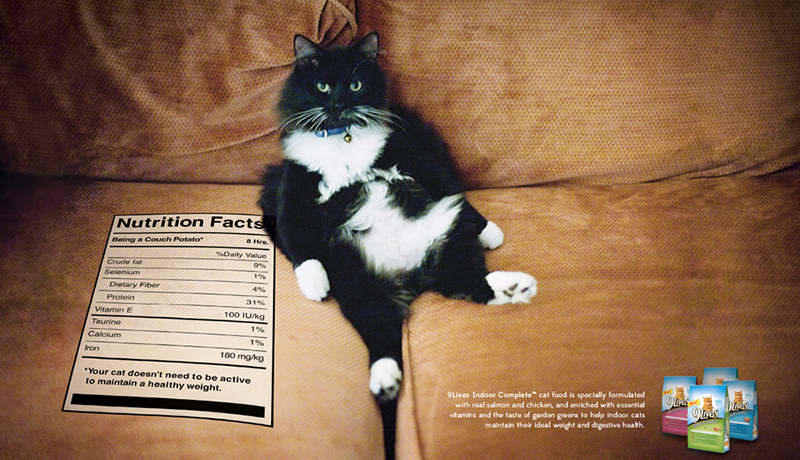 9lives_facts_myth