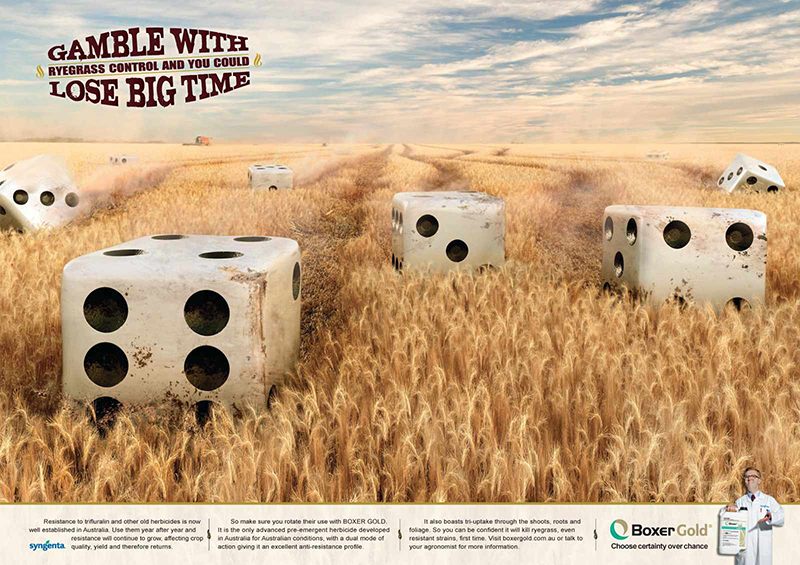 dice-gamble-numbers-ad