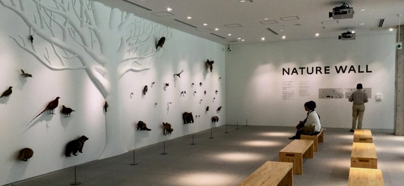 takao-599-museum-wild-life