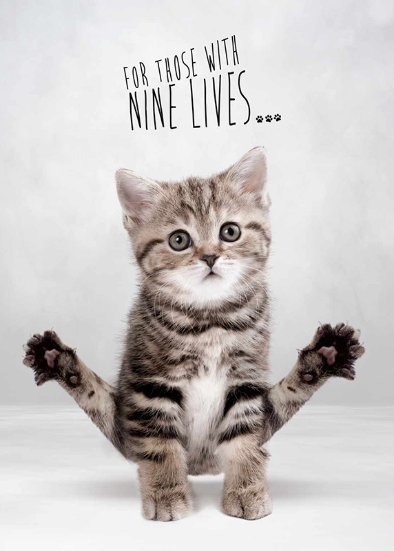 cats_have_nine_lives